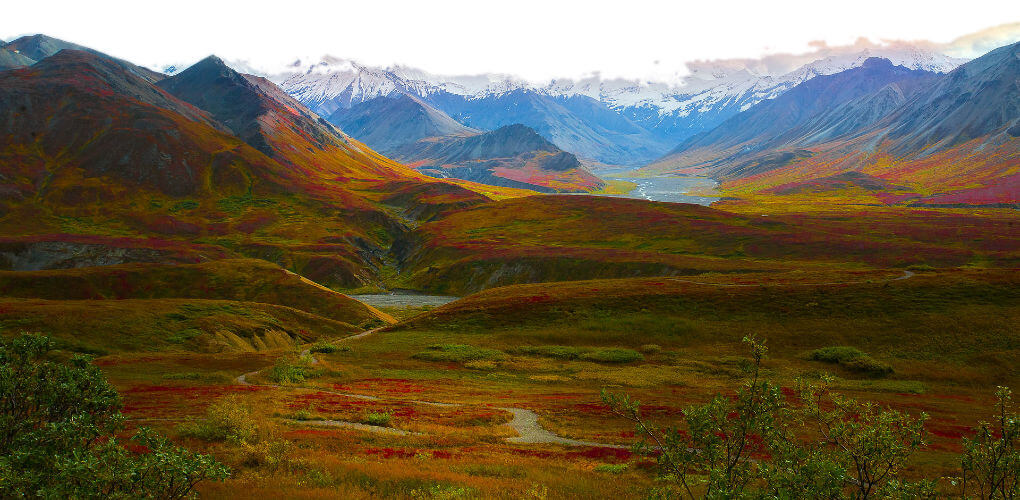 Denali National Park is about 380 km north of Anchorage in Alaska.