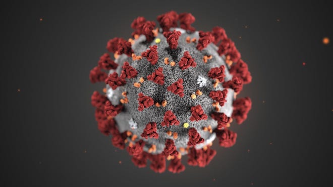 This January 2020 Centers for Disease Control and Prevention illustration shows the novel coronavirus 2019 (2019-nCoV).