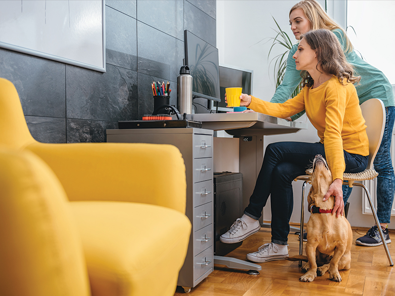 A balancing act for employers: service animals and allergies in the workplace
