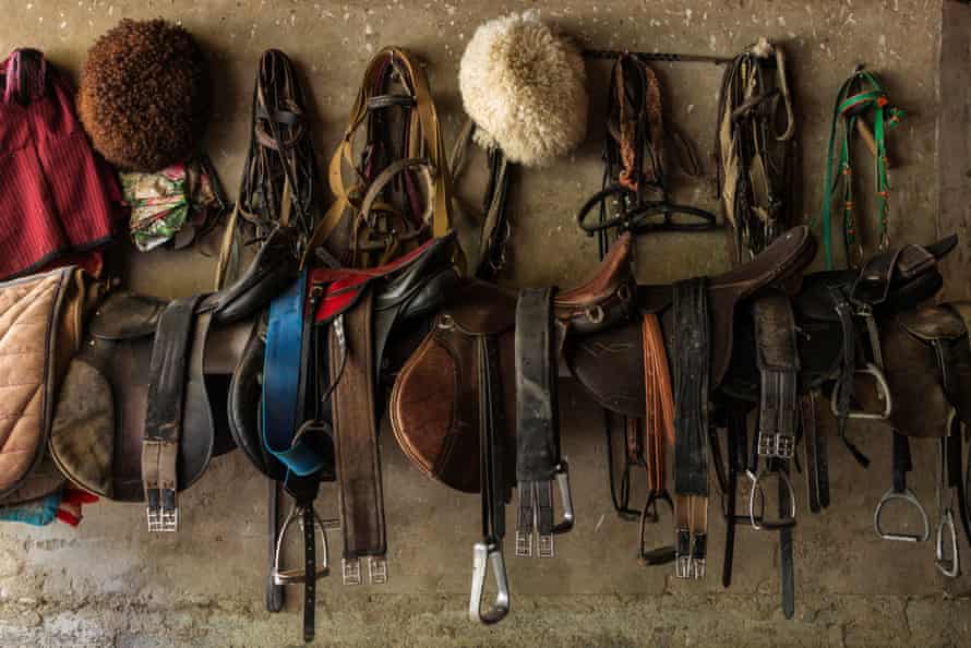 Saddles hang on a wall