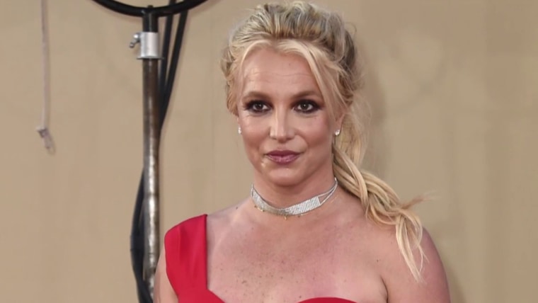 Britney Spears' conservatorship and America's fight for disability rights