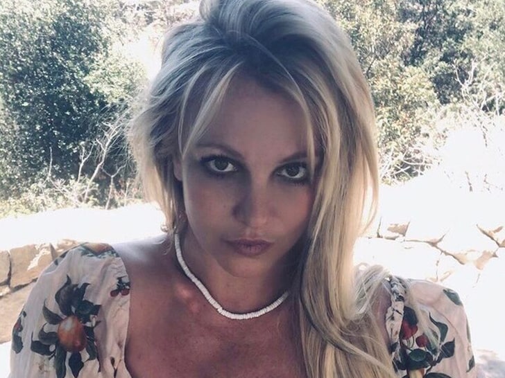 Disability Rights Groups Say Britney Should Be Able to Choose New Lawyer