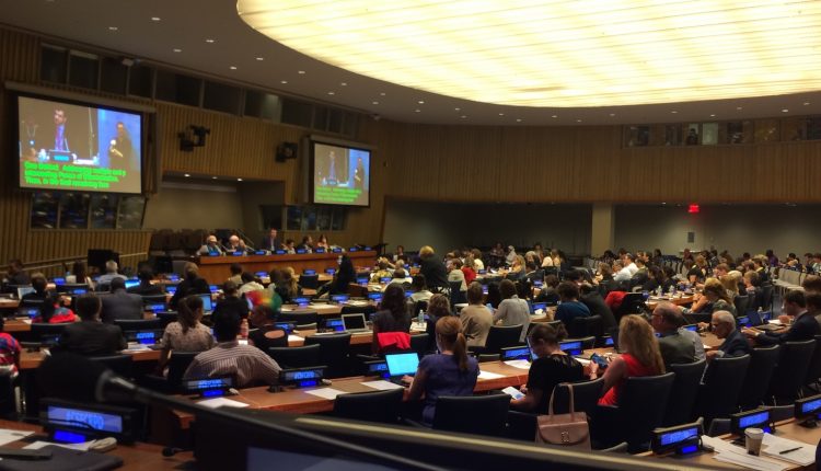 How does the UN disability committee election work? | Blogs