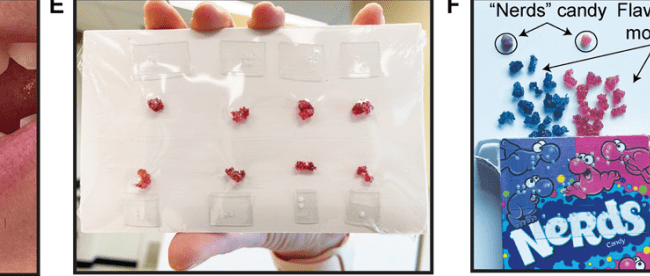 Image shows a student grasping an inedible molecule between his teeth and holding the string in his hand, another person shows dummies of molecules that are sealed and arranged in a bag, with a box of flavored edible candy inside
